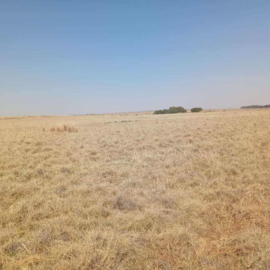  Bedroom Property for Sale in Senekal Rural Free State